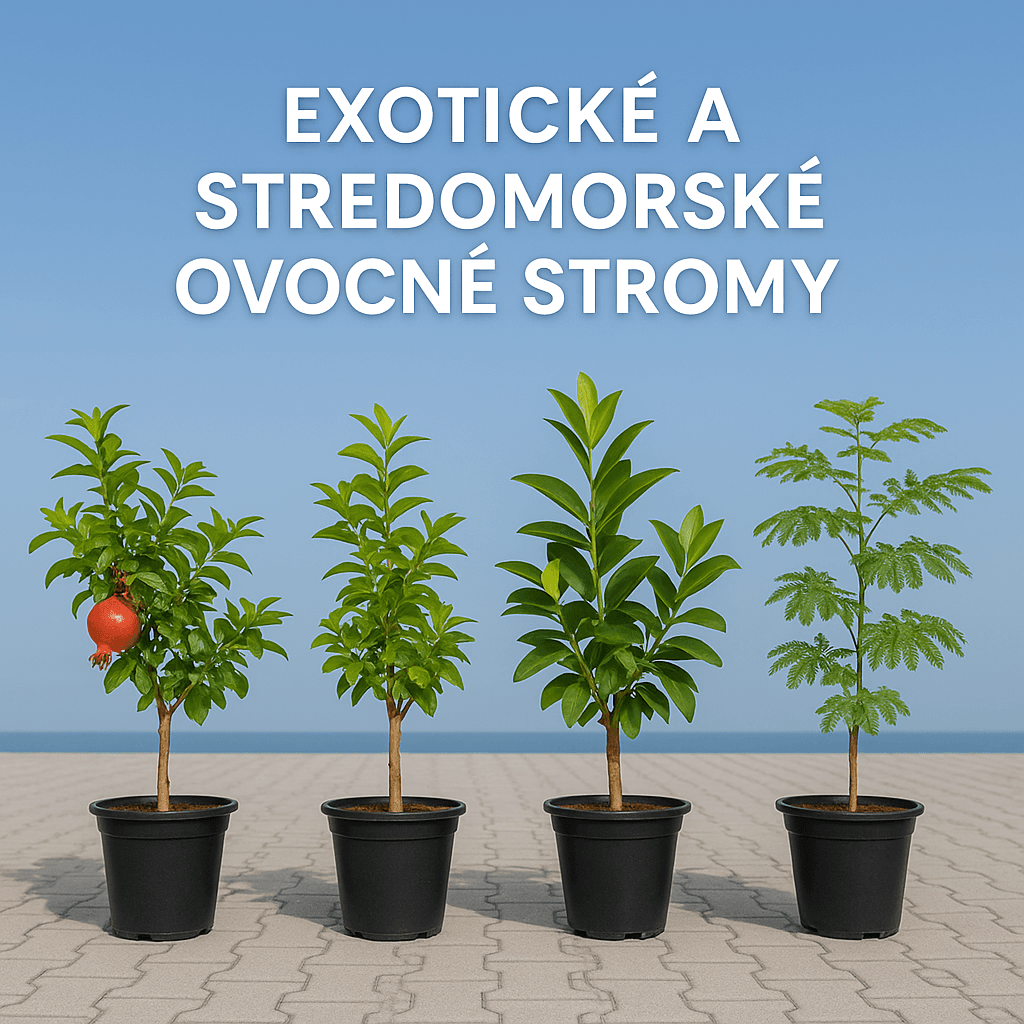 Exotické a stredomorské ovocné stromy