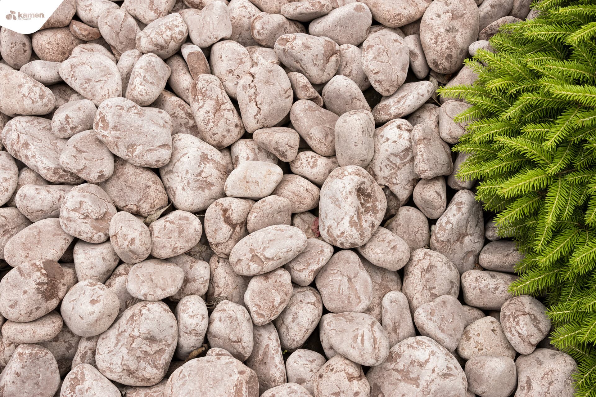 Vápenec PINK V37 dekoračné okruhliaky/okrasné kamenivo - thumbnail 2