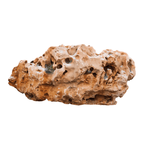 Vápenec dierovaný V55 solitérny kameň - thumbnail 1