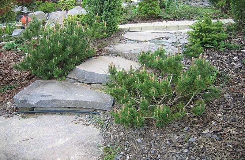 Andezit A88 nášľapné kamene - thumbnail 2