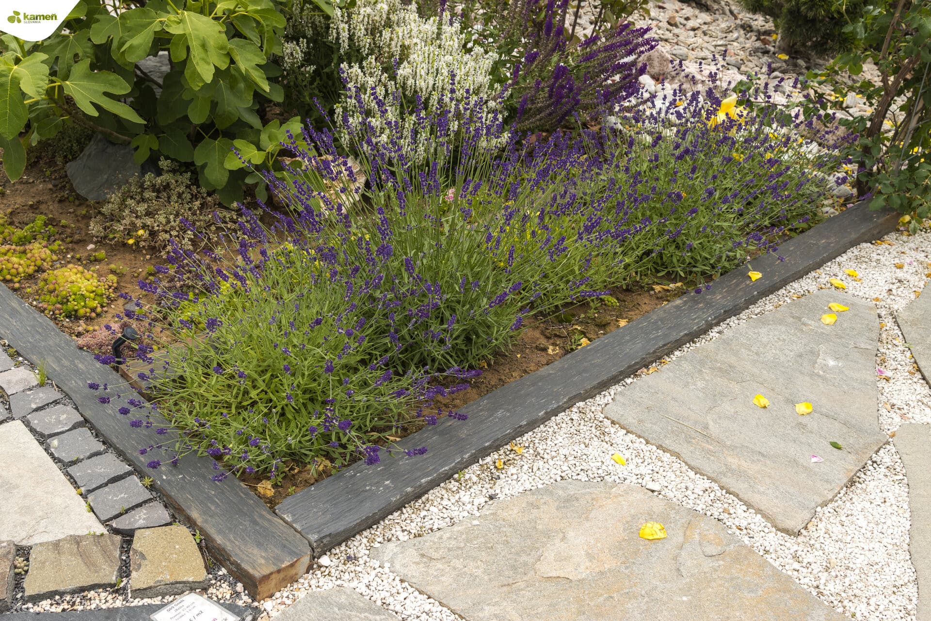 Bridlica B95 dlažba / schody / palisády - thumbnail 5