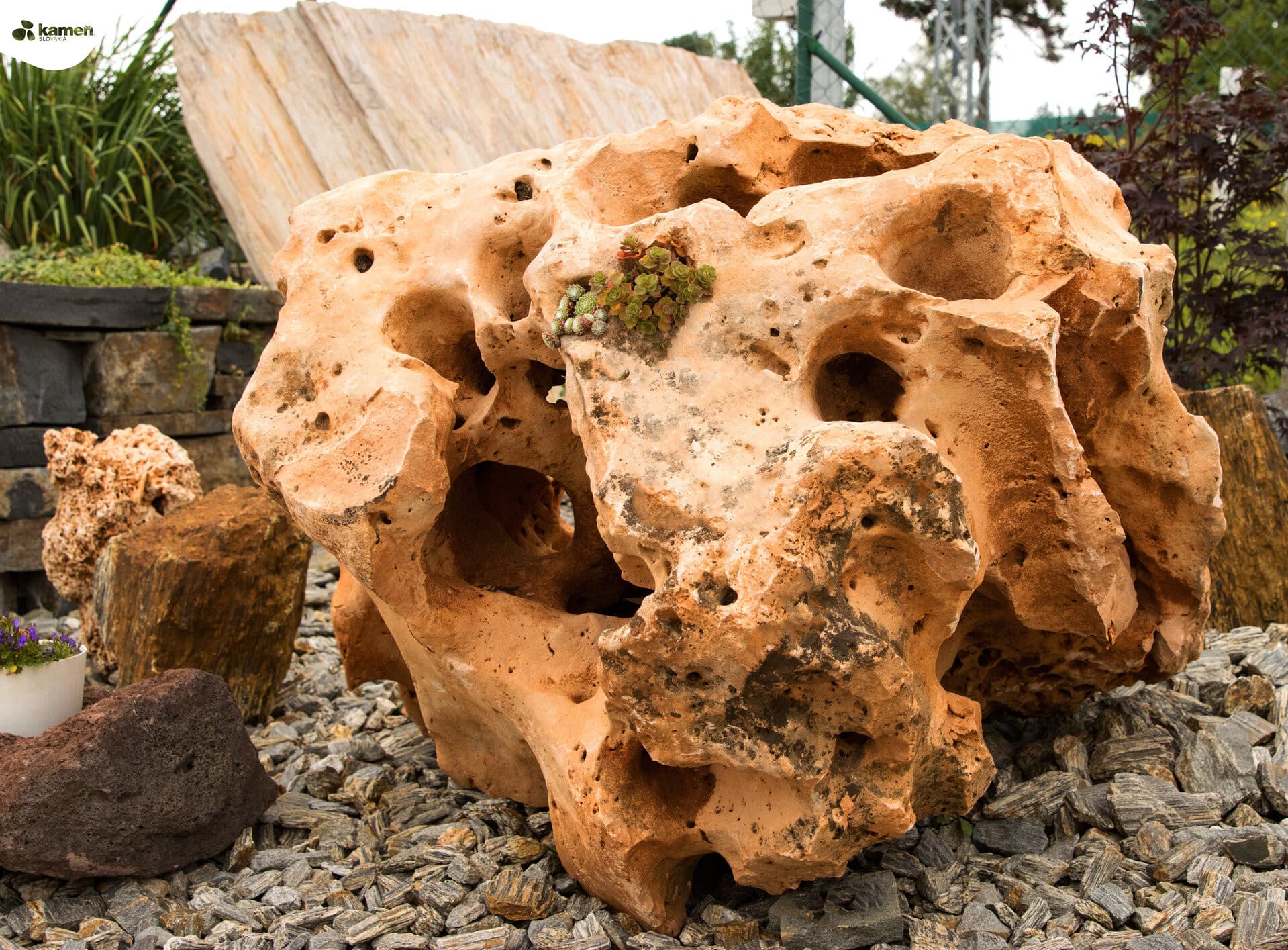 Vápenec dierovaný V55 solitérny kameň - thumbnail 2