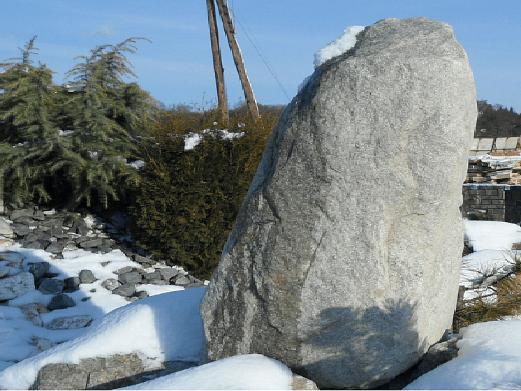 Žula Z81 solitérny kameň - thumbnail 4