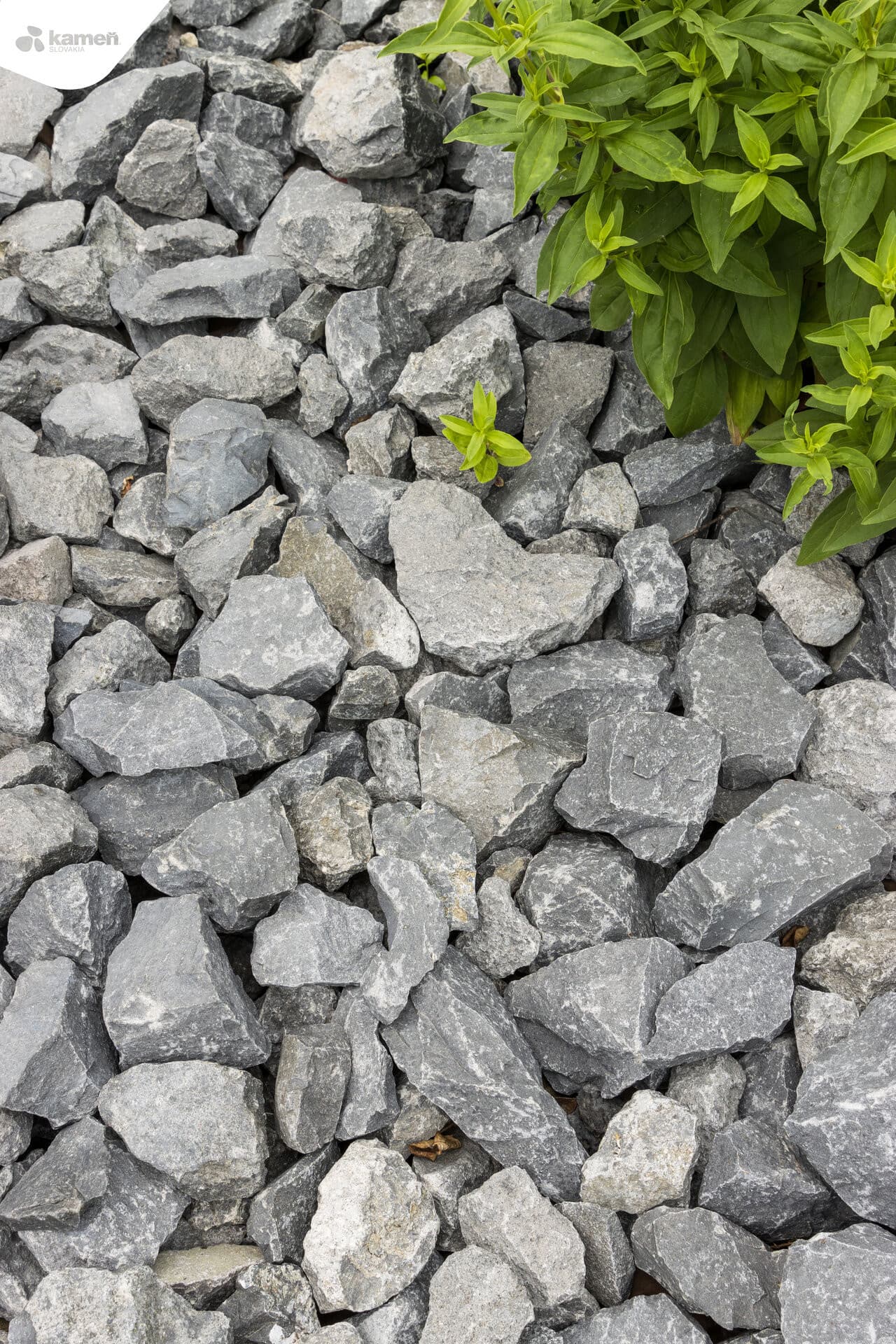 Nero Ebano NE95 kameň do gabionov / výplň do gabionov - thumbnail 10