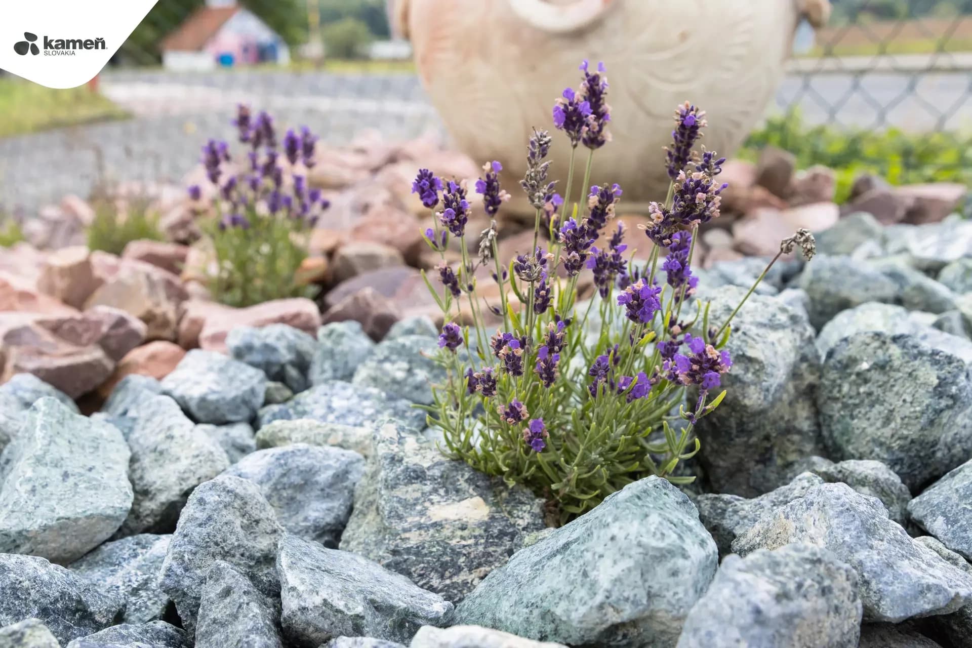 Serpentín SE65 kameň do gabionov /  výplň do gabionov - thumbnail 9