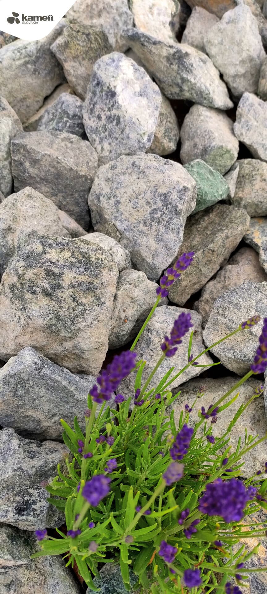 Serpentín SE65 kameň do gabionov /  výplň do gabionov - thumbnail 10