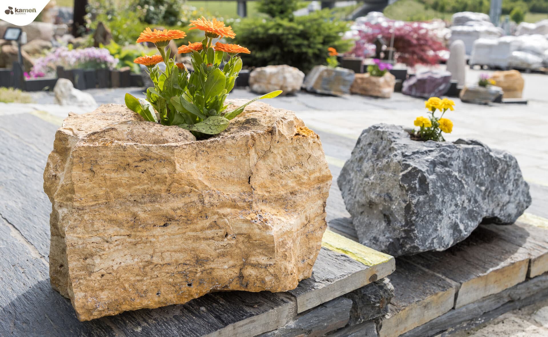 Kvetináč z kameňa - thumbnail 13