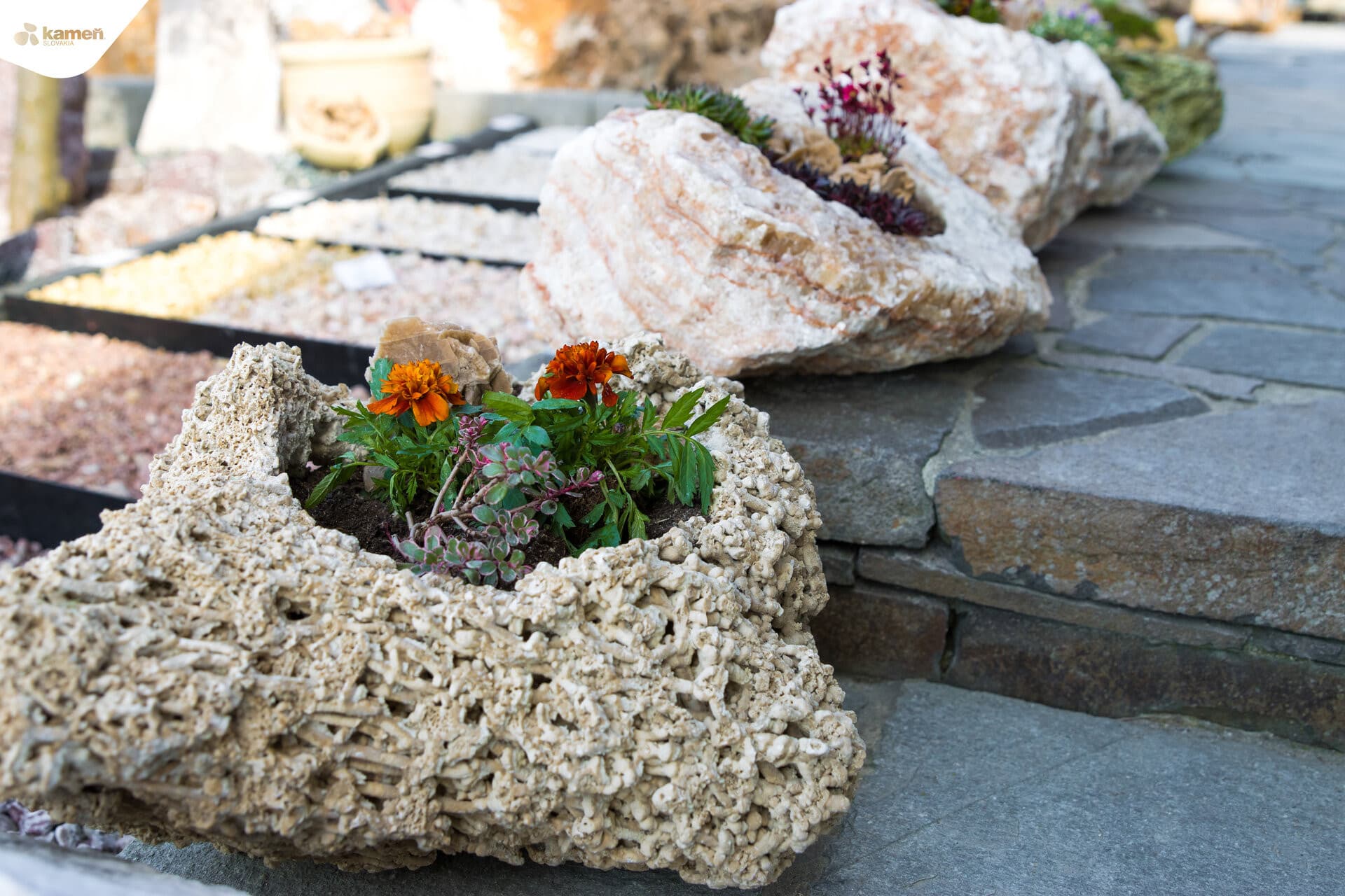 Kvetináč z kameňa - thumbnail 14