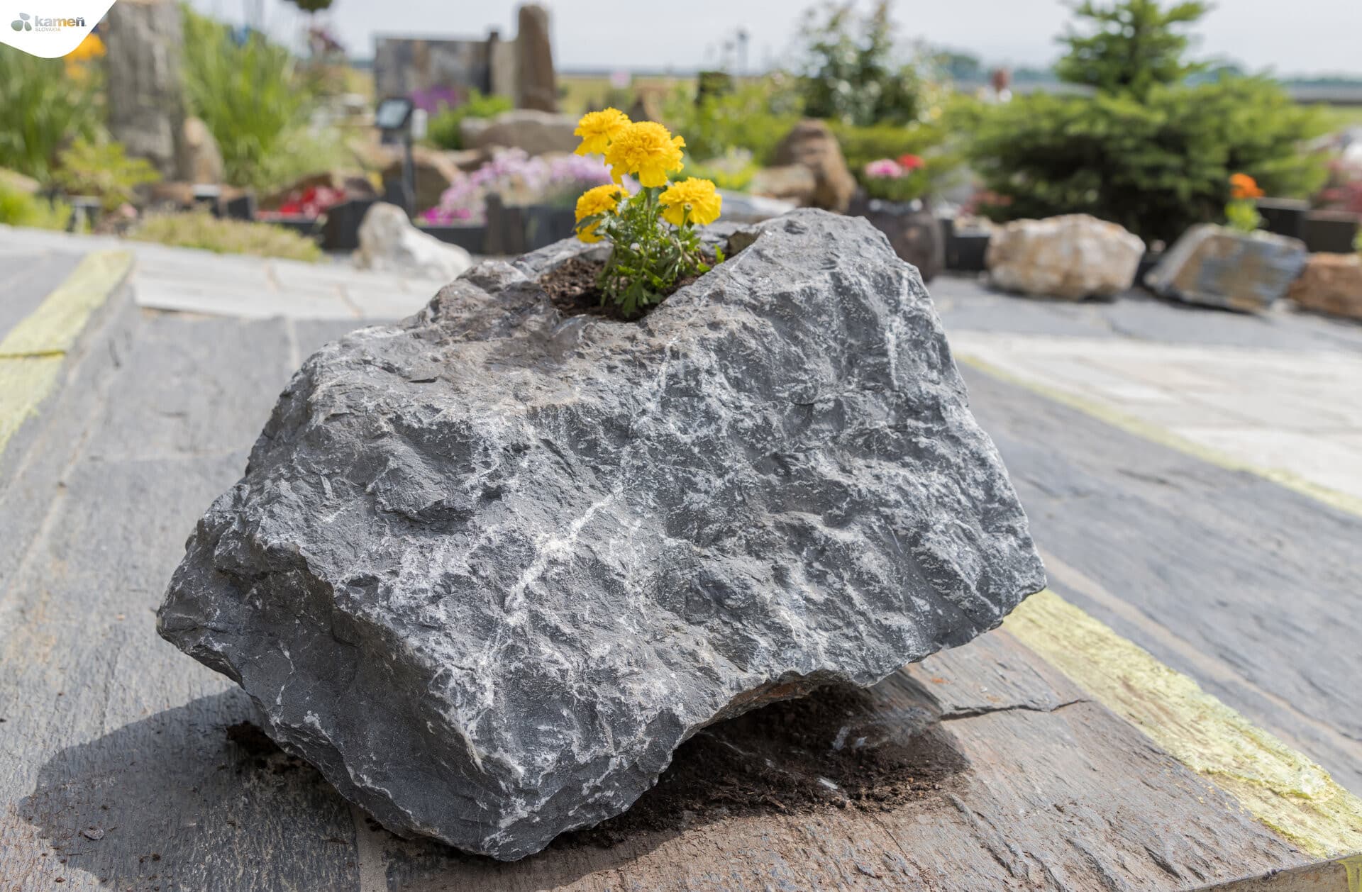 Kvetináč z kameňa - thumbnail 22