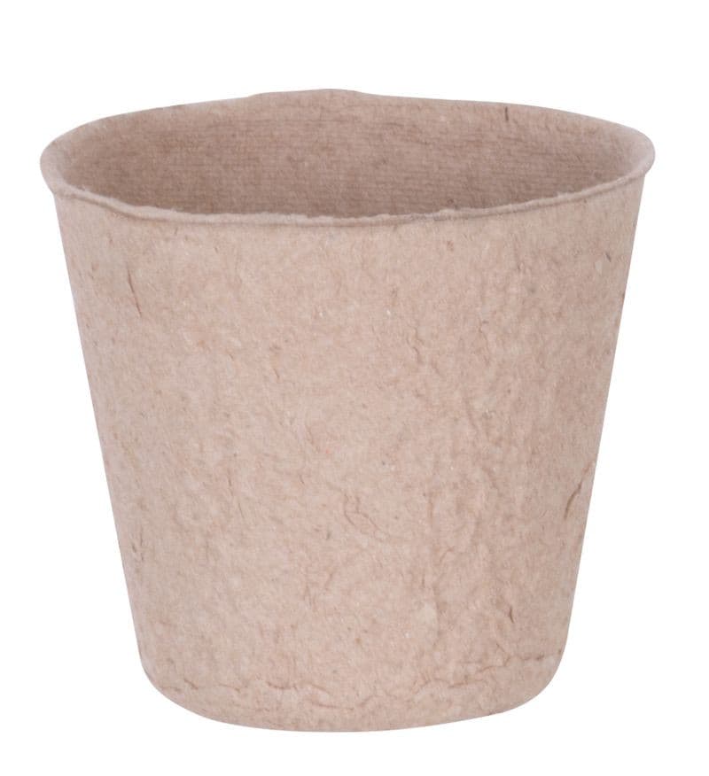 Sadbovač Strend Pro Herrison P1006, papierový, 6 cm, bal. 30 ks - thumbnail 2