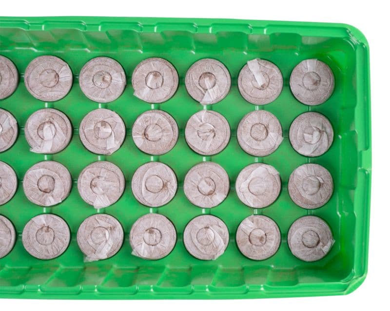 Miniparenisko Strend Pro Herrison MG-029, s 28 kokosovými peletami, 36x22x7 cm - thumbnail 2