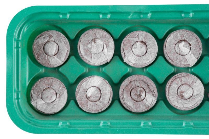 Miniparenisko Strend Pro, Herrison MG-027, s 10 kokosovými tabletami , 26x12,5x4 cm - thumbnail 2