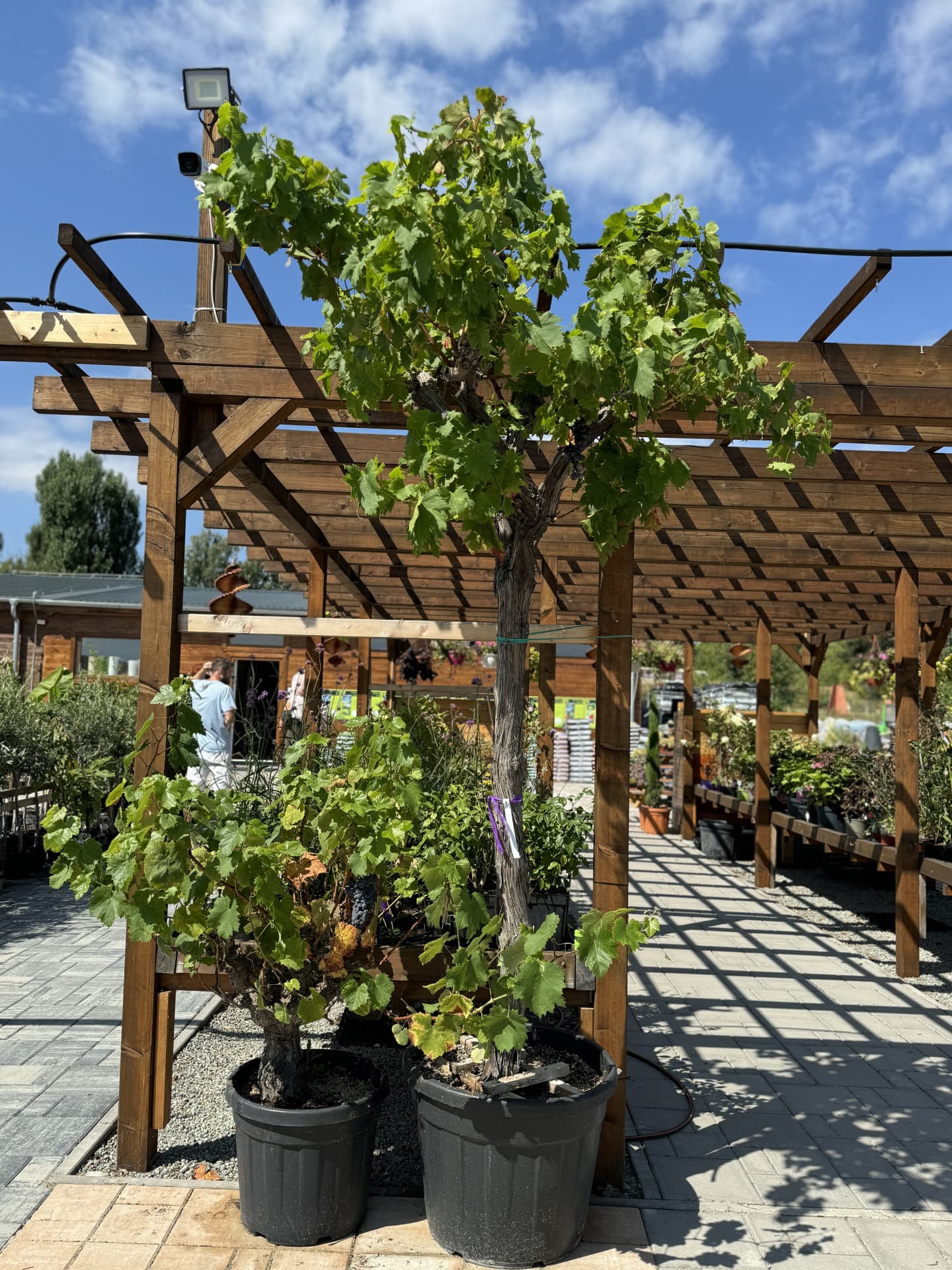 Product image 5689972