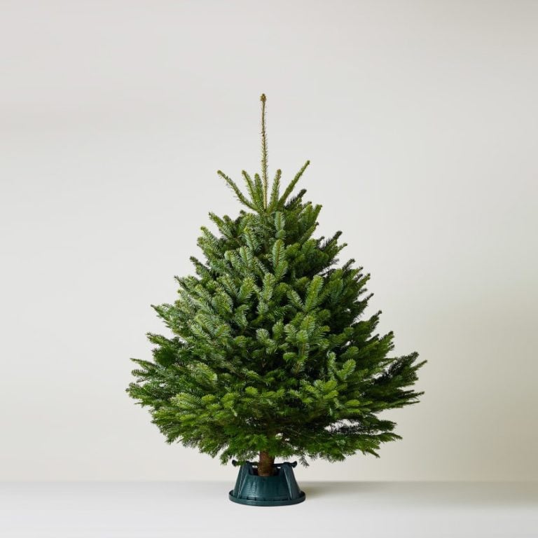 Product image 4497745