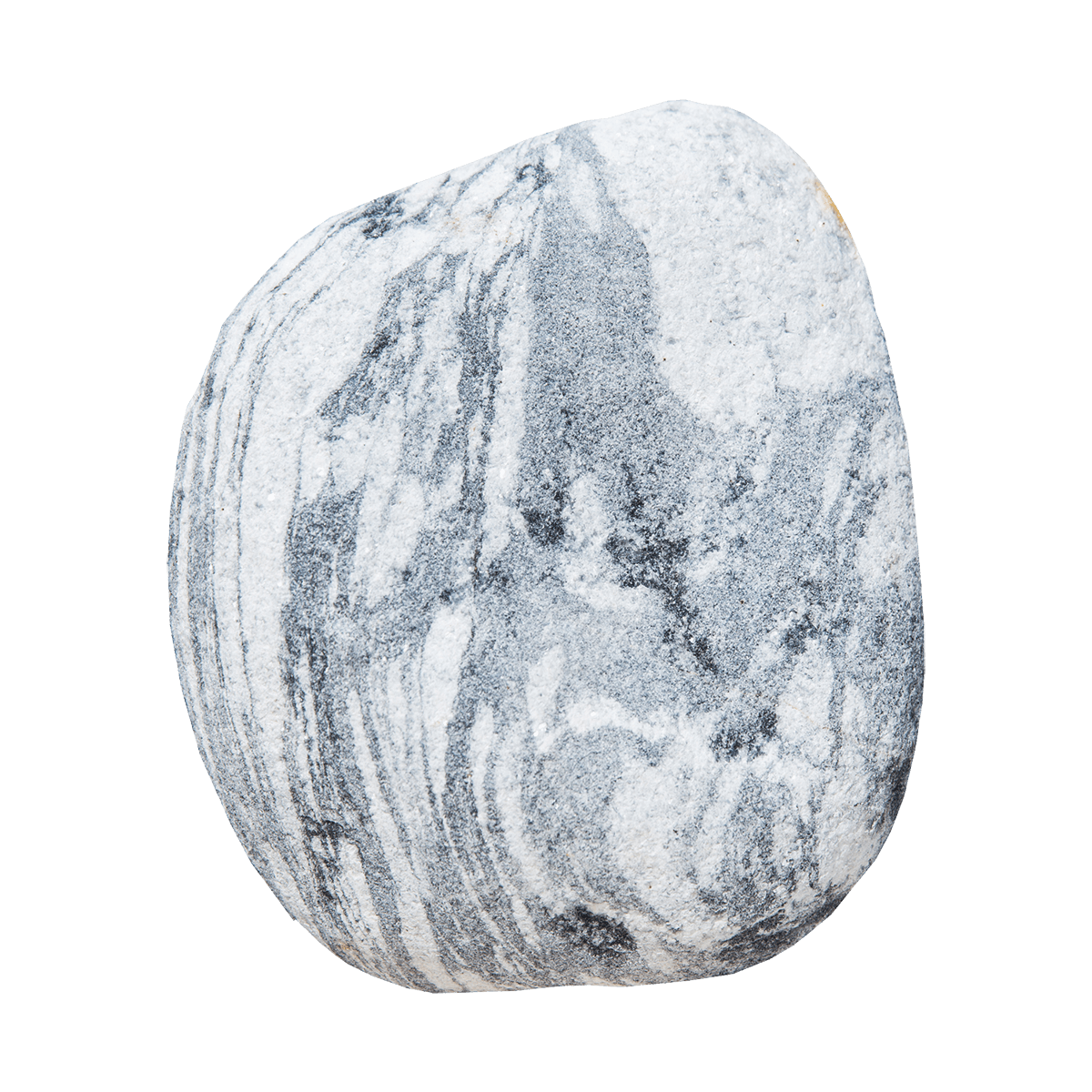 Product image 4812469