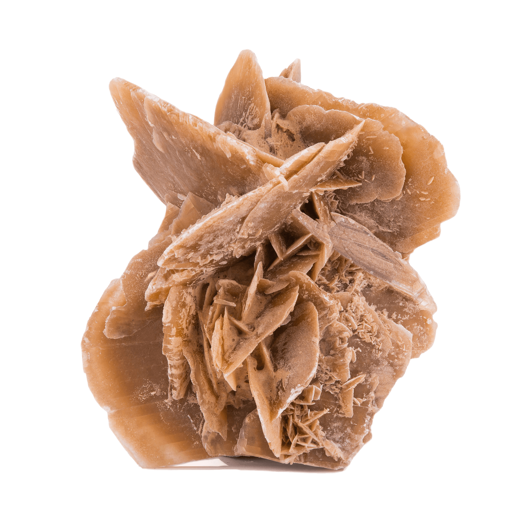 Product image 4821941