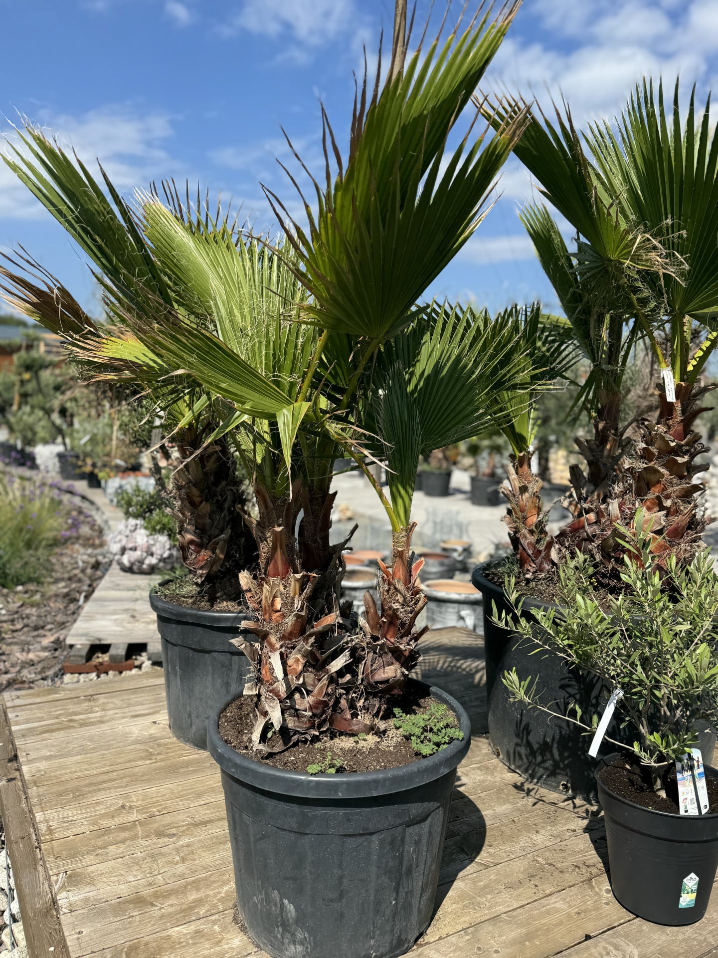 Product image 5689754