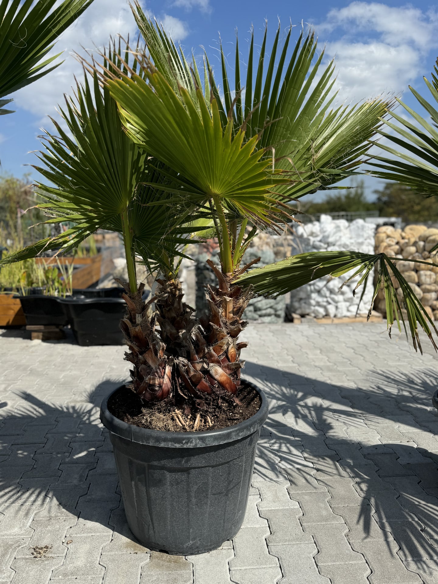 Product image 5689756