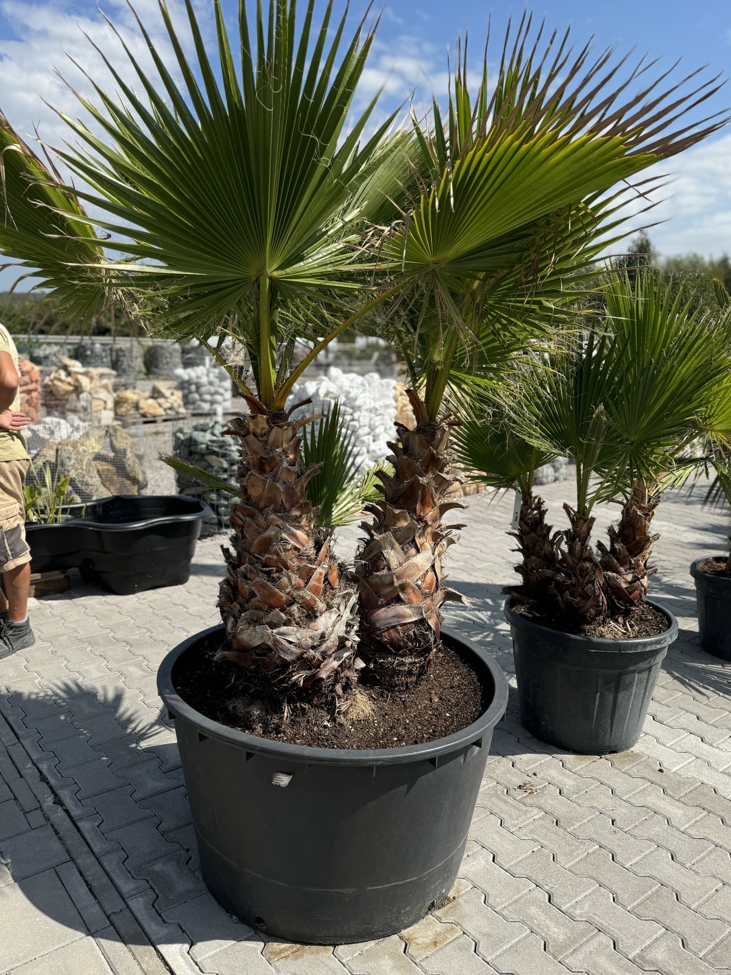 Product image 5689784