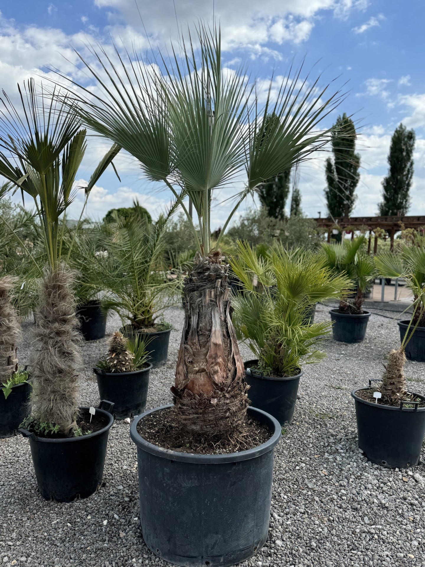 Product image 5689842