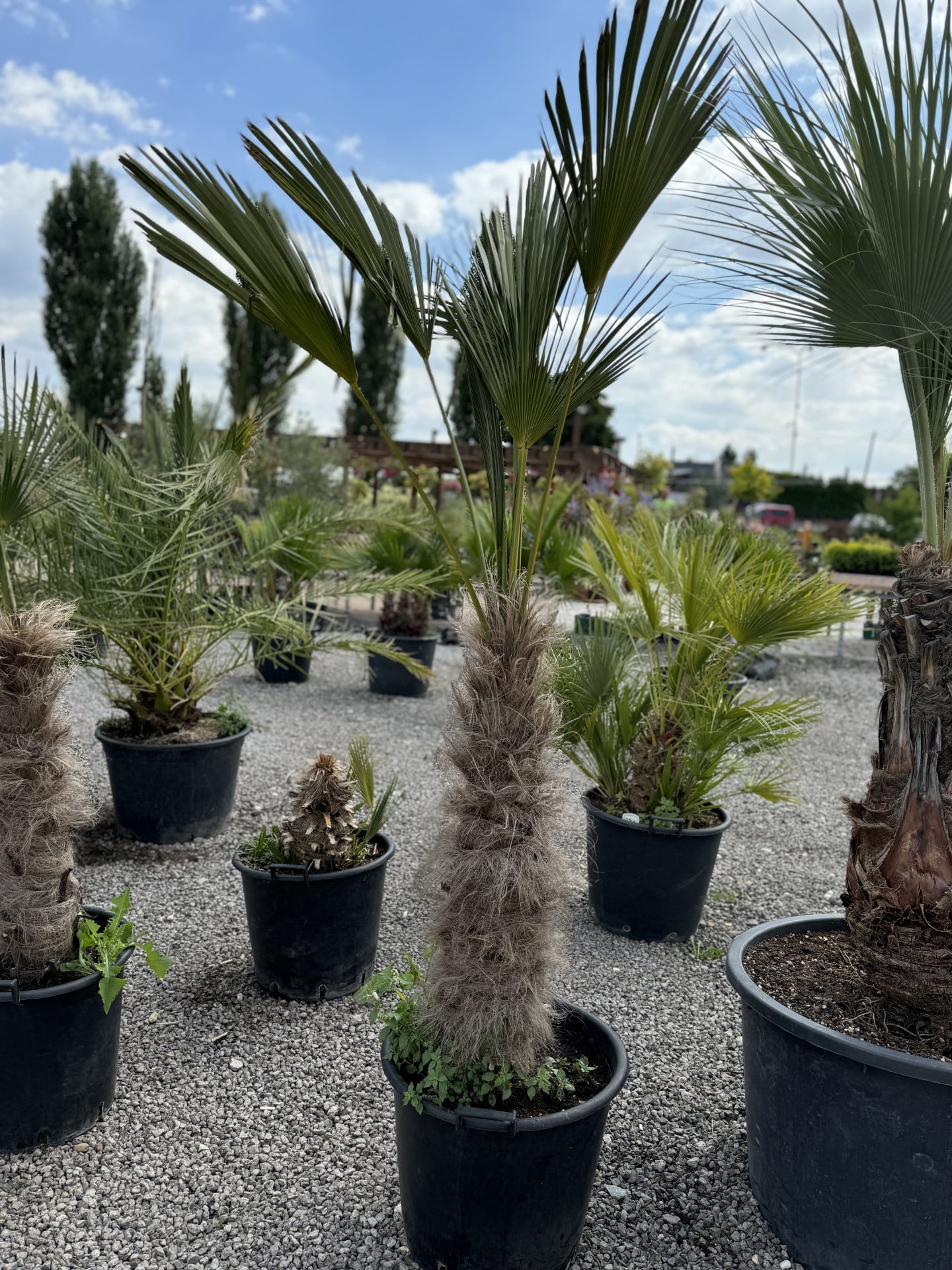 Product image 5689896