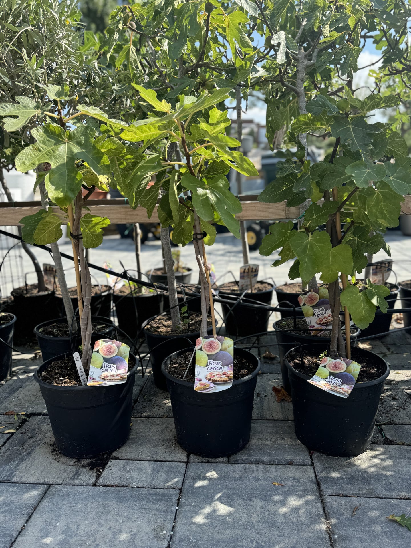 Product image 5689939