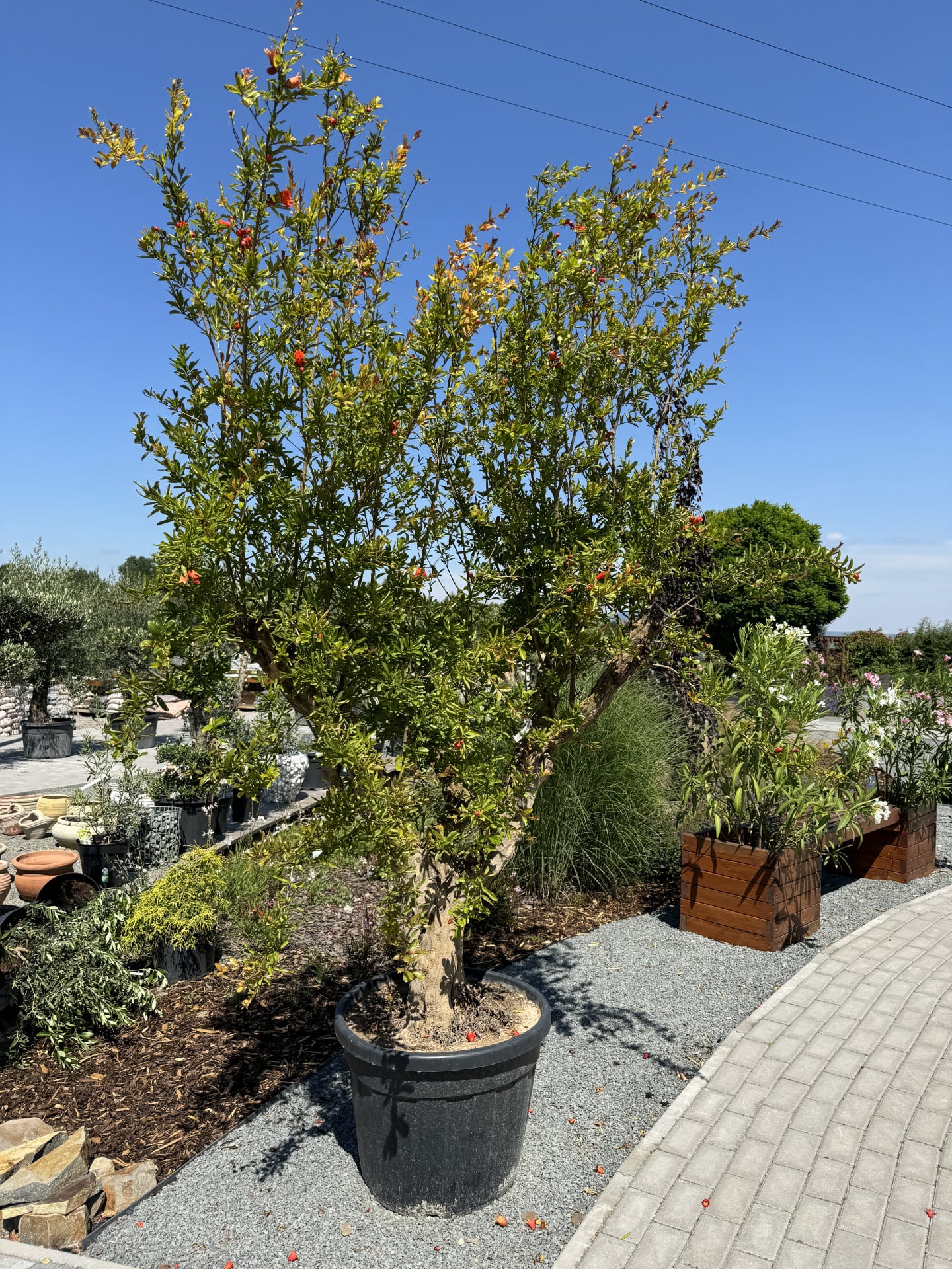 Product image 5689955