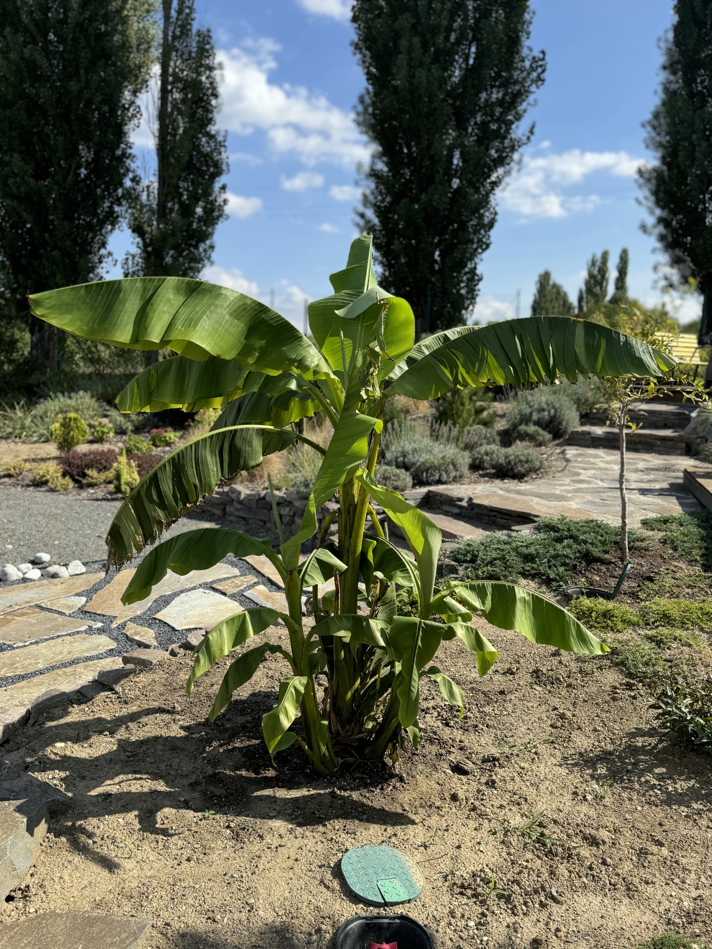 Product image 5689962