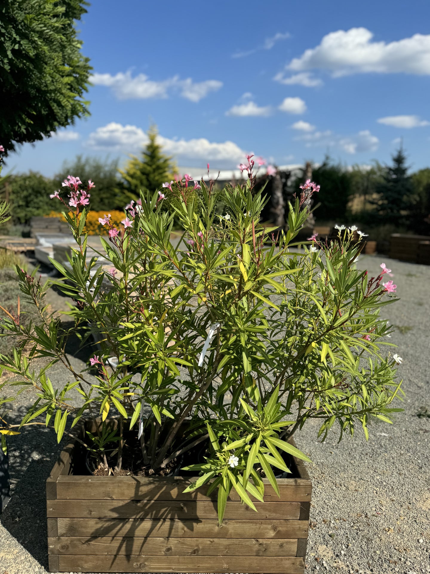 Product image 5689975