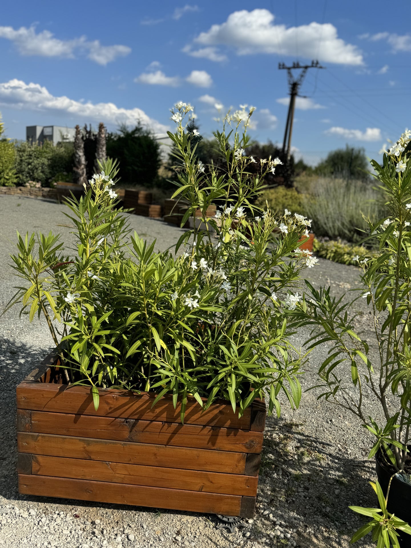 Product image 5689977