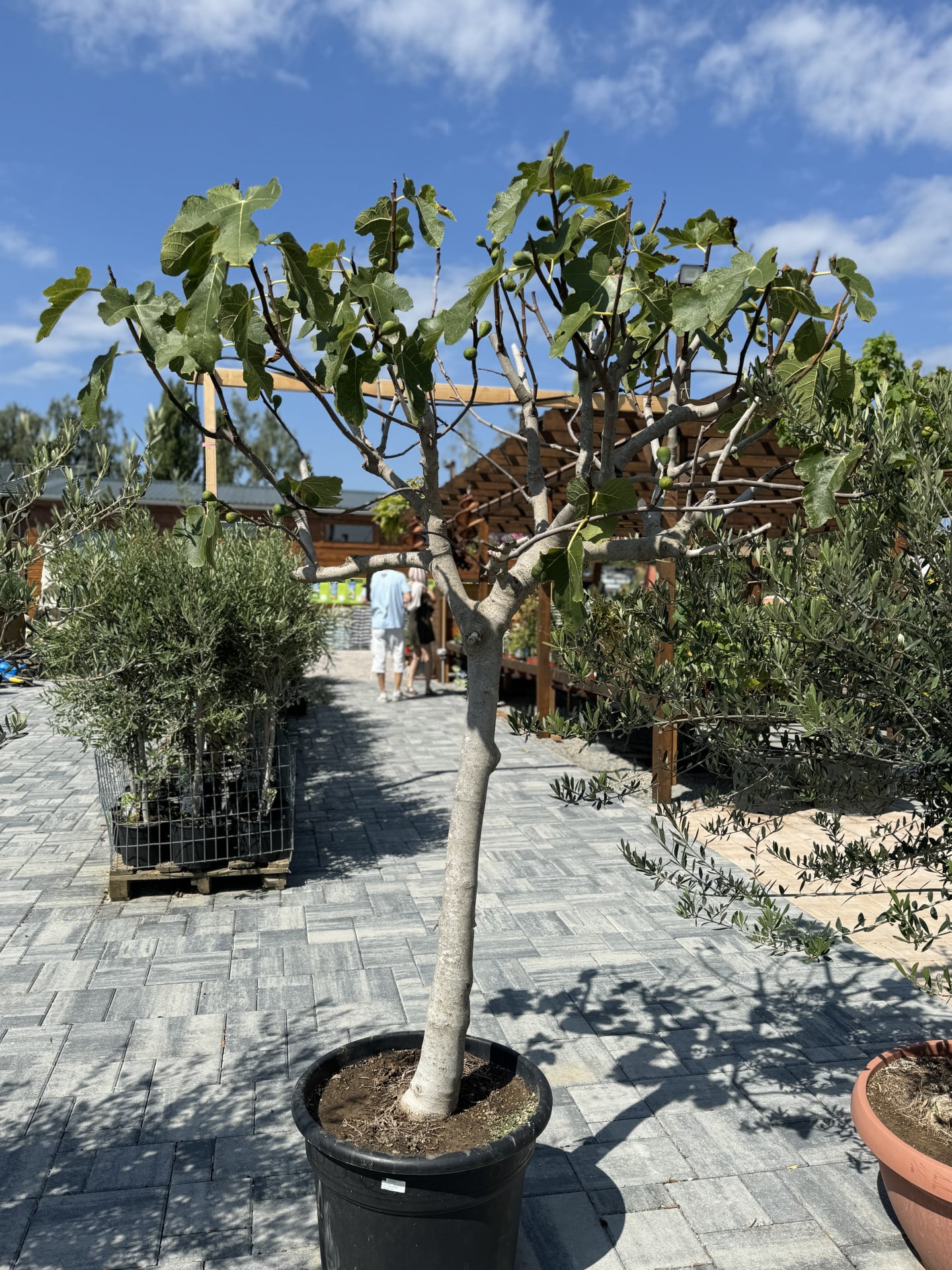 Product image 5689981