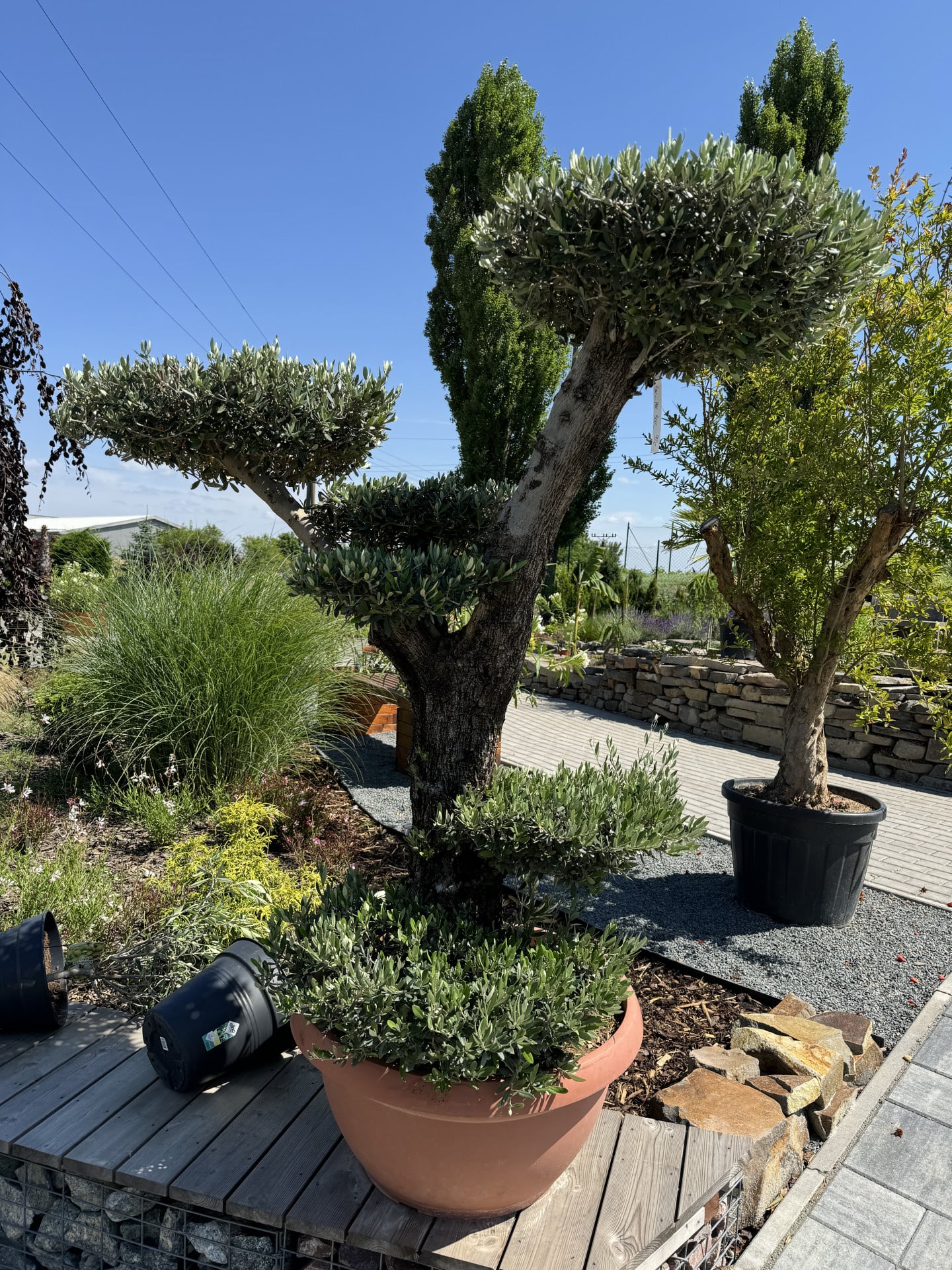 Product image 5690043