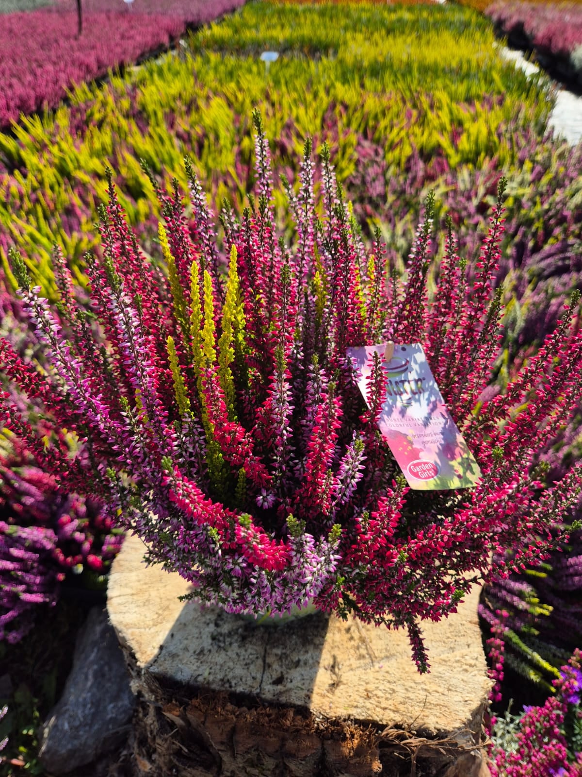 Product image 5968628