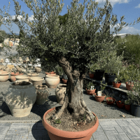 Product image 6546611