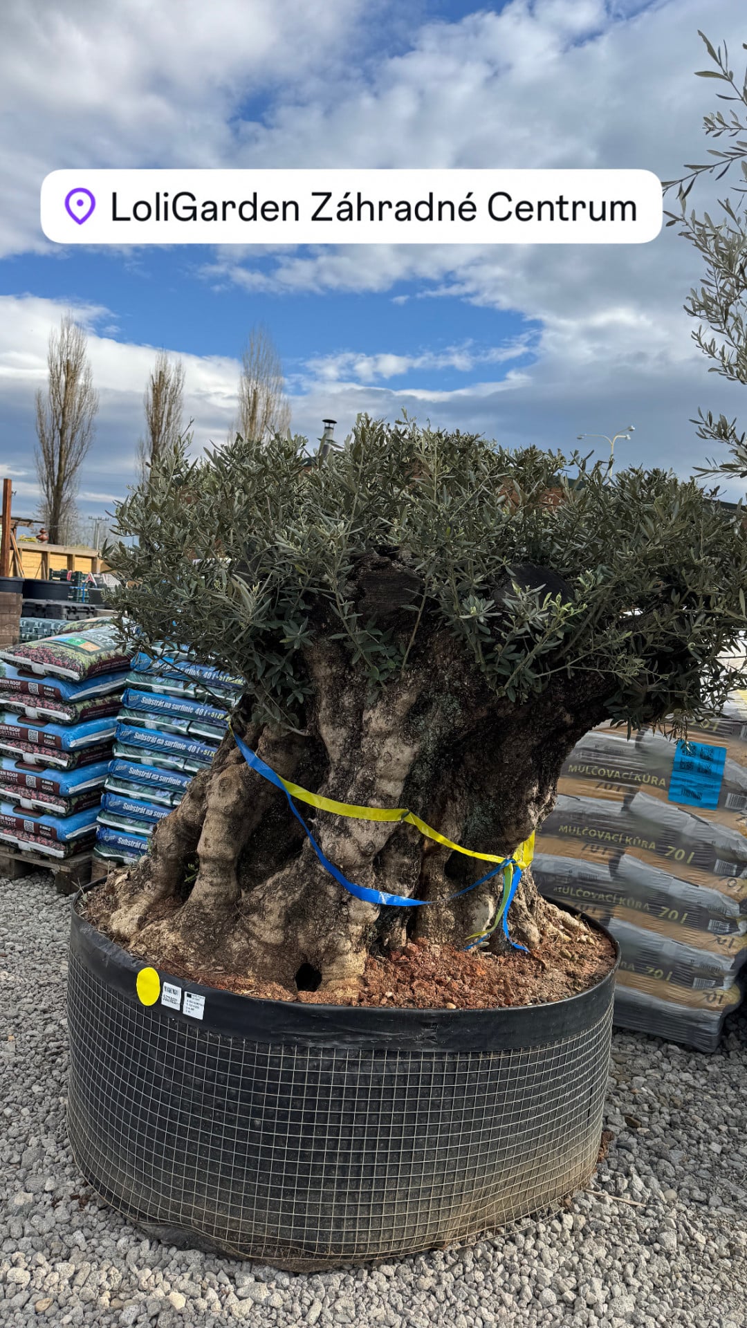 Product image 6548282