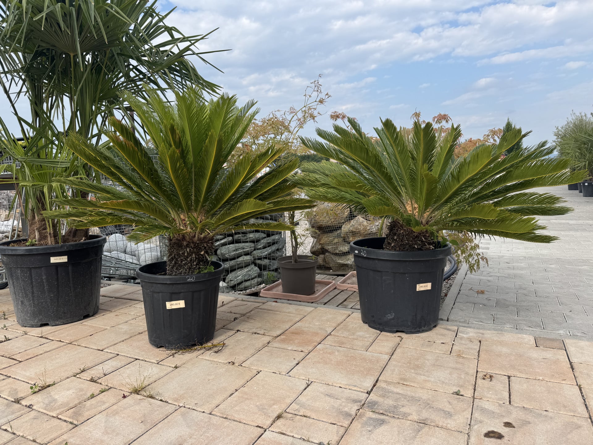 Product image 6754279