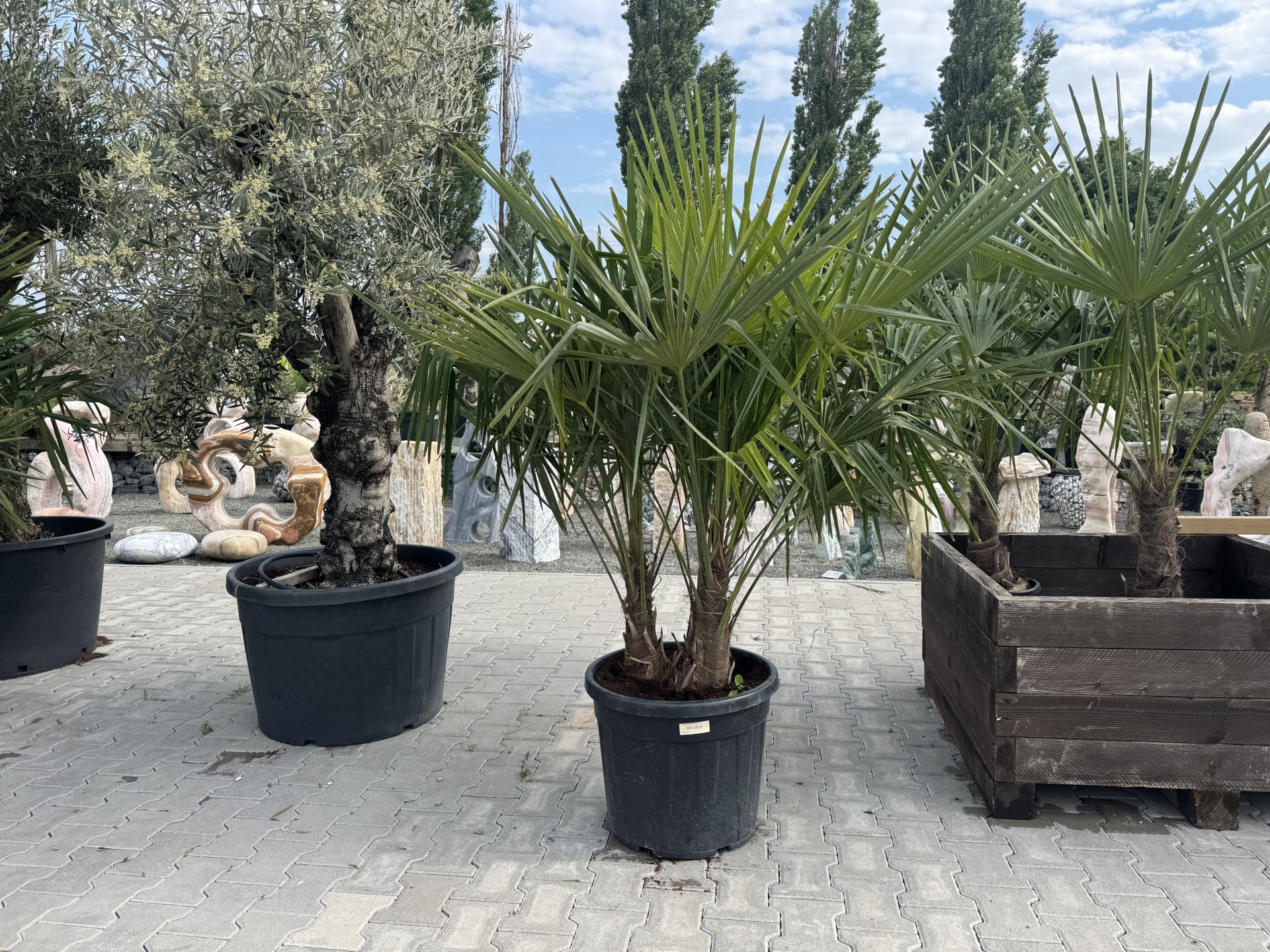 Product image 6754281