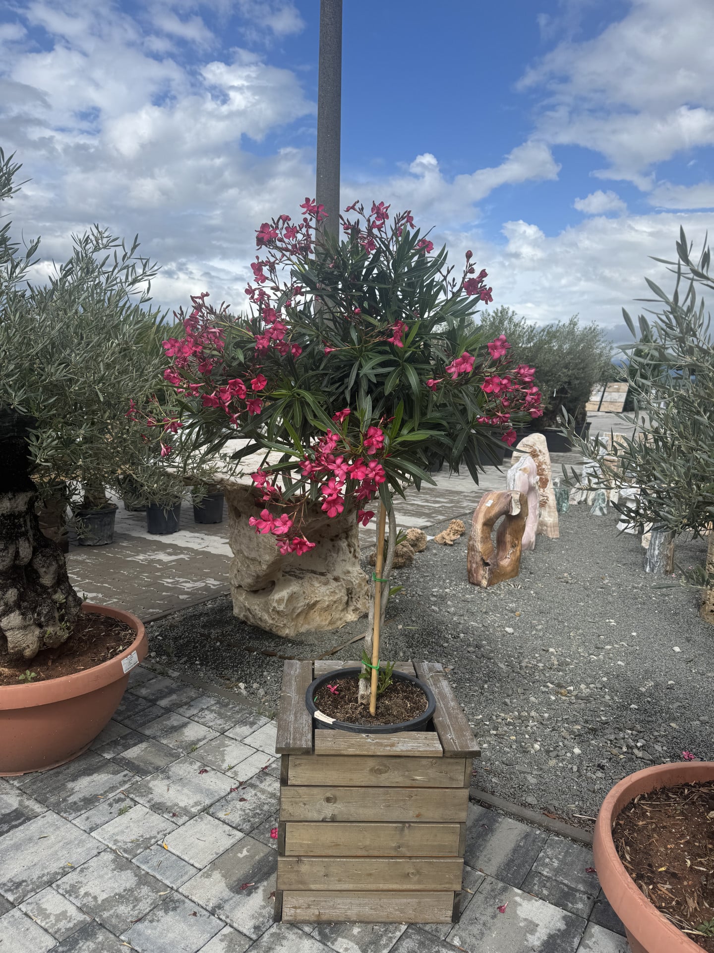 Product image 6754362