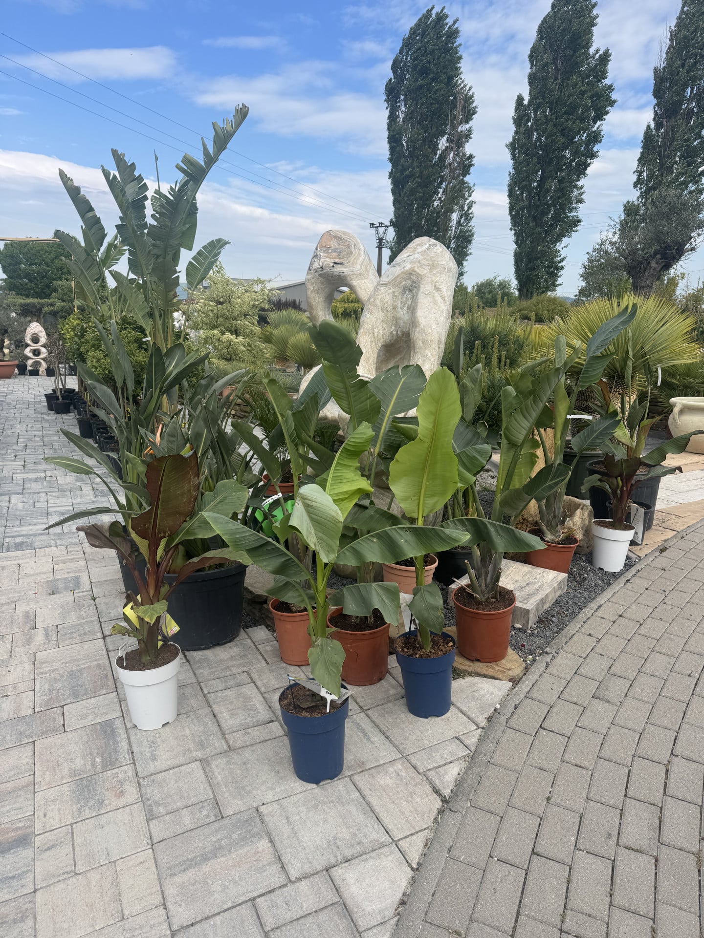 Product image 6754367