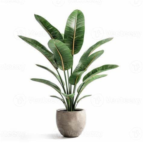 Product image 6819015