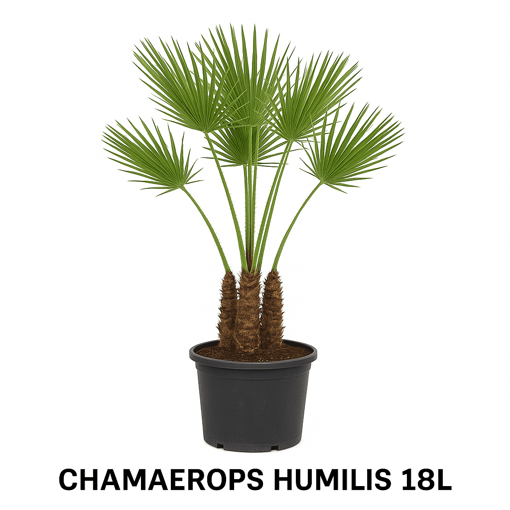 Product image 6827198