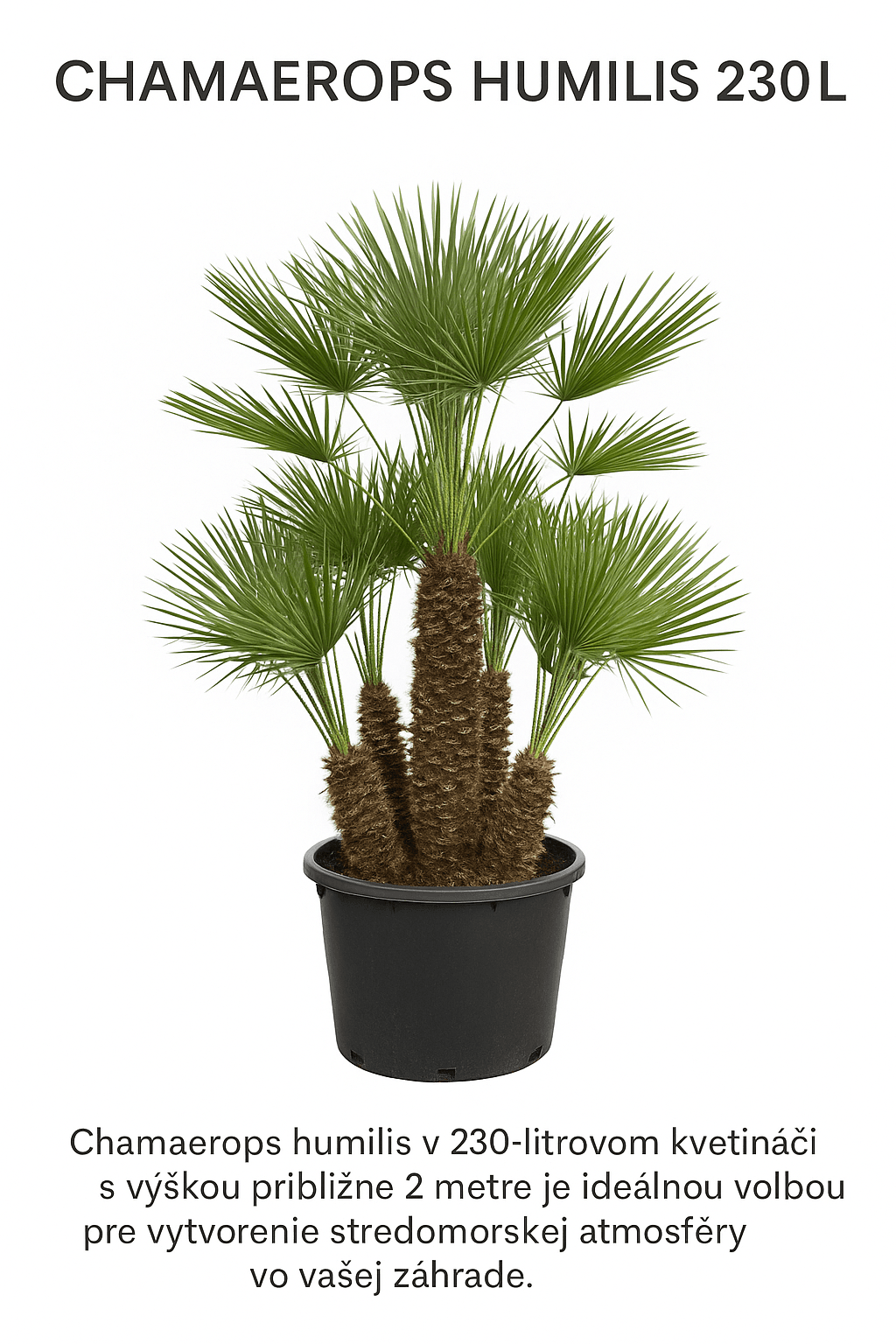 Product image 6827203