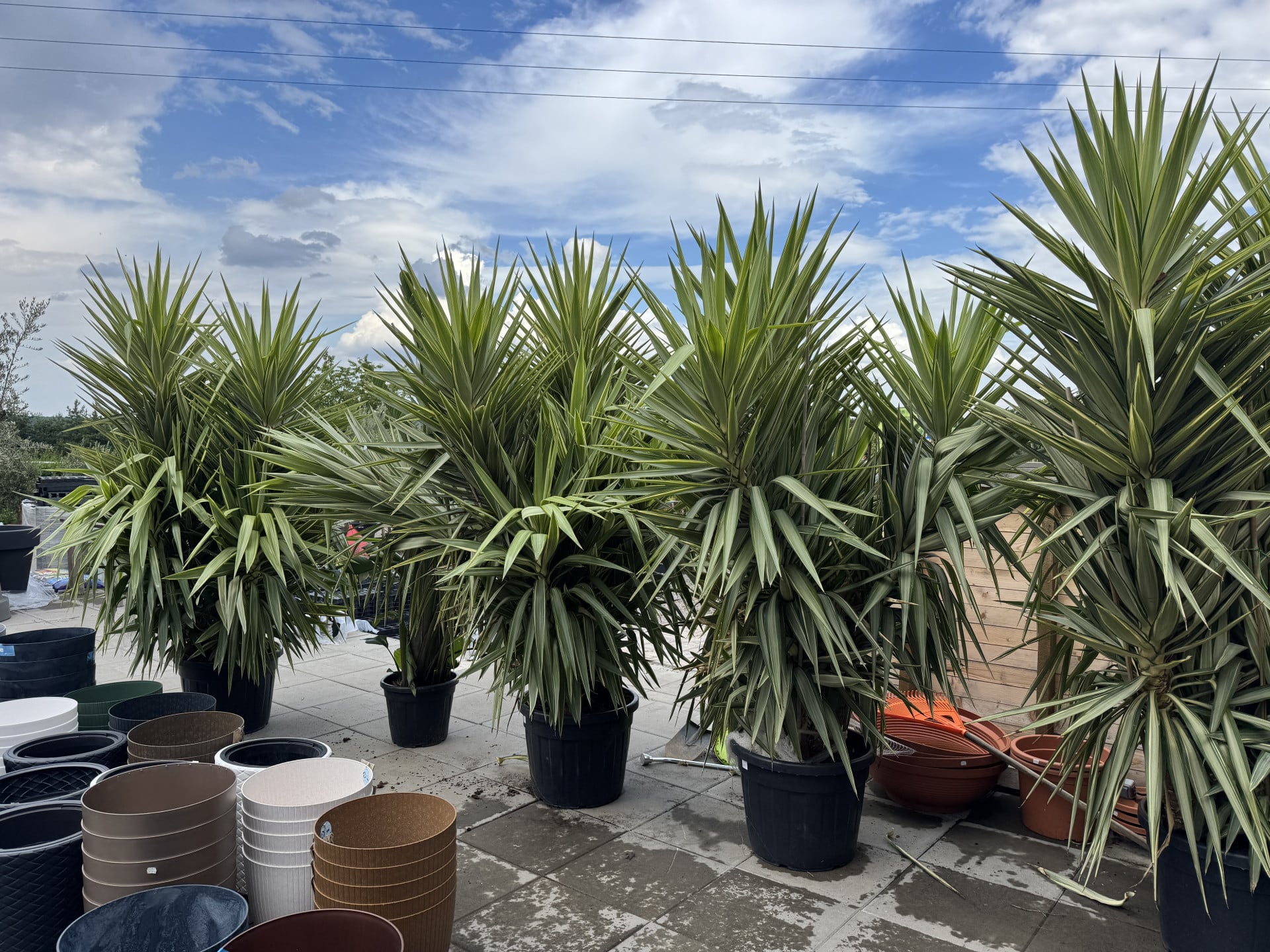 Product image 6827215