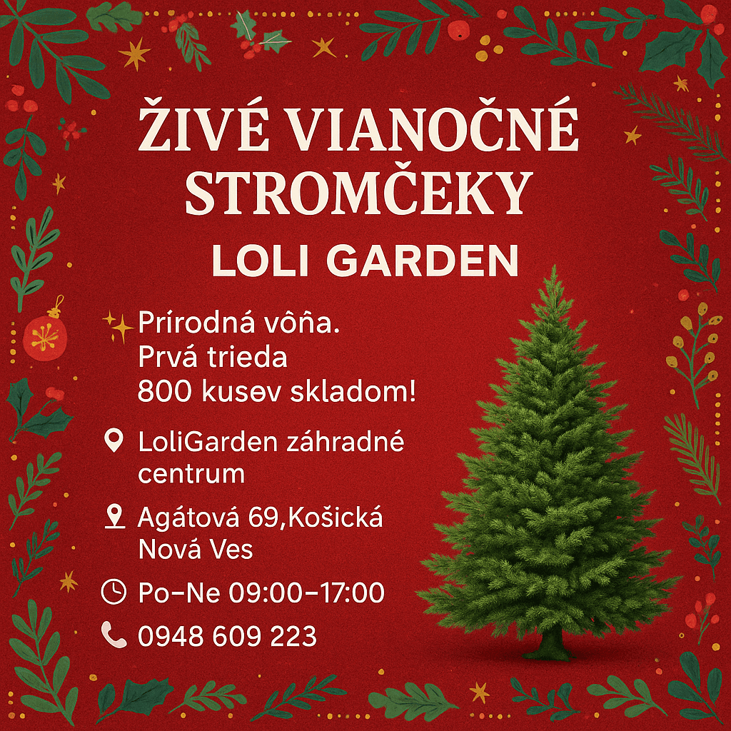 Živé Vianočné stromčeky