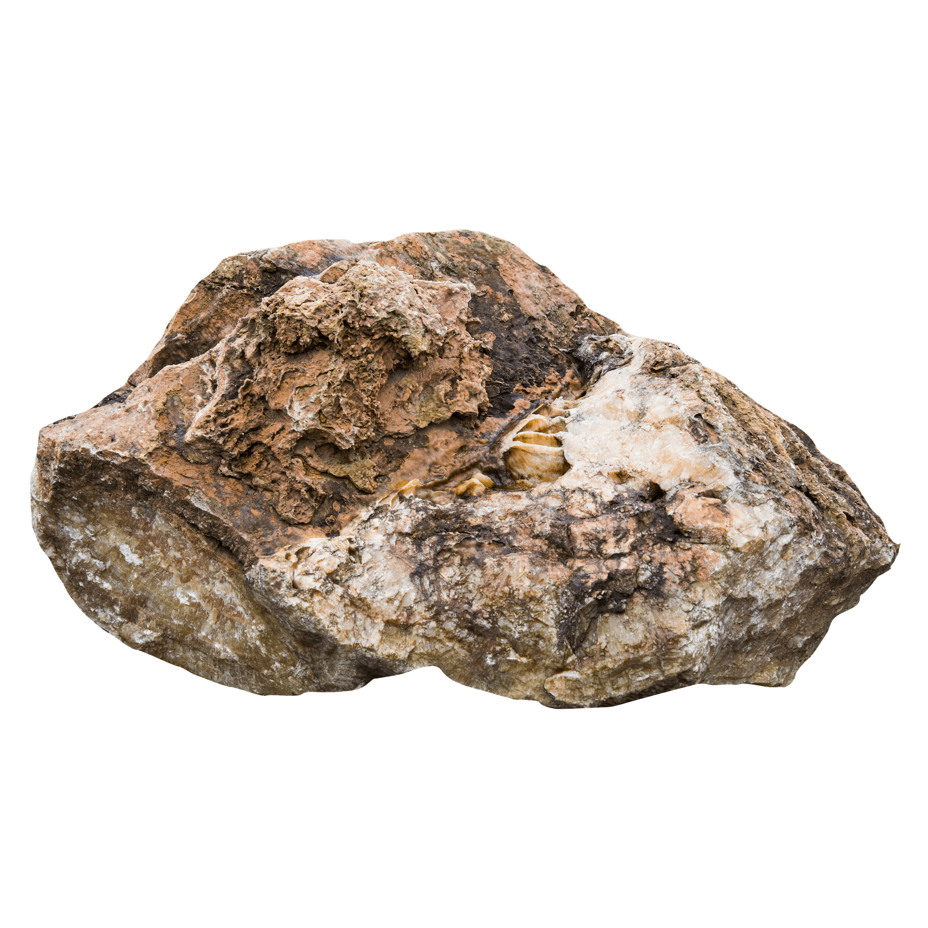 Product image 4844002