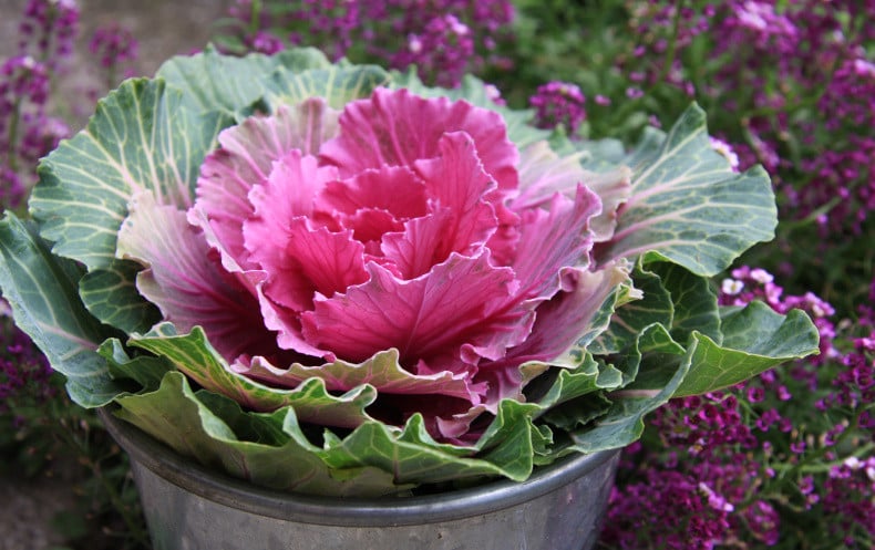 Product image 5878896