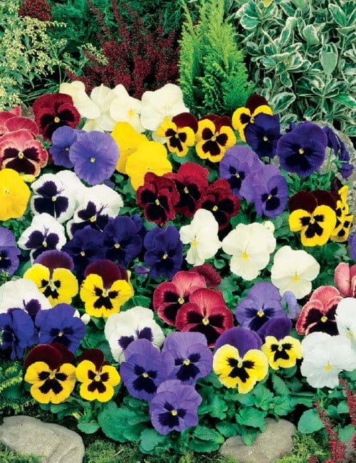 Product image 5878904